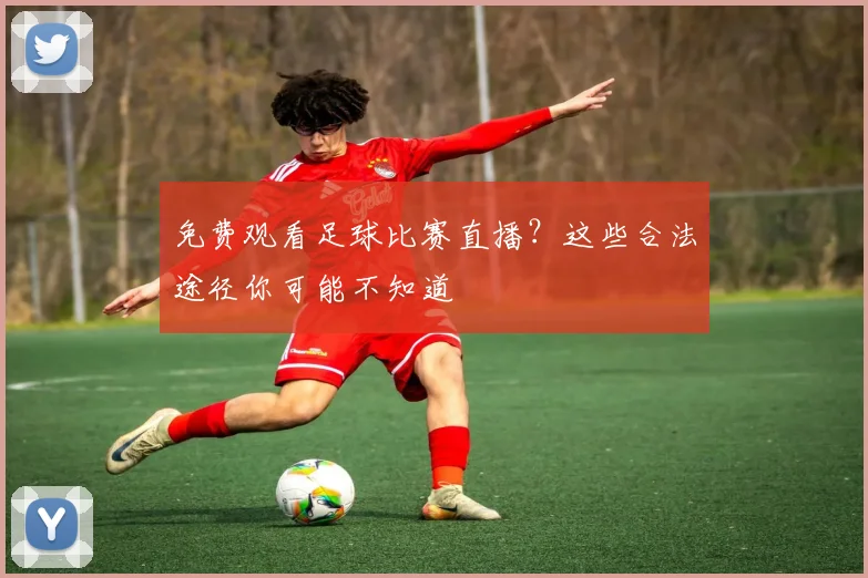 免费观看足球比赛直播？这些合法途径你可能不知道