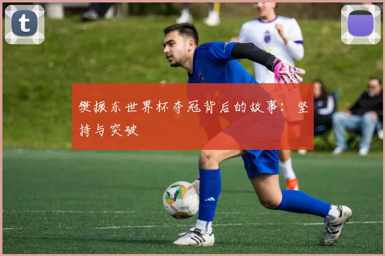 樊振东世界杯夺冠背后的故事：坚持与突破
