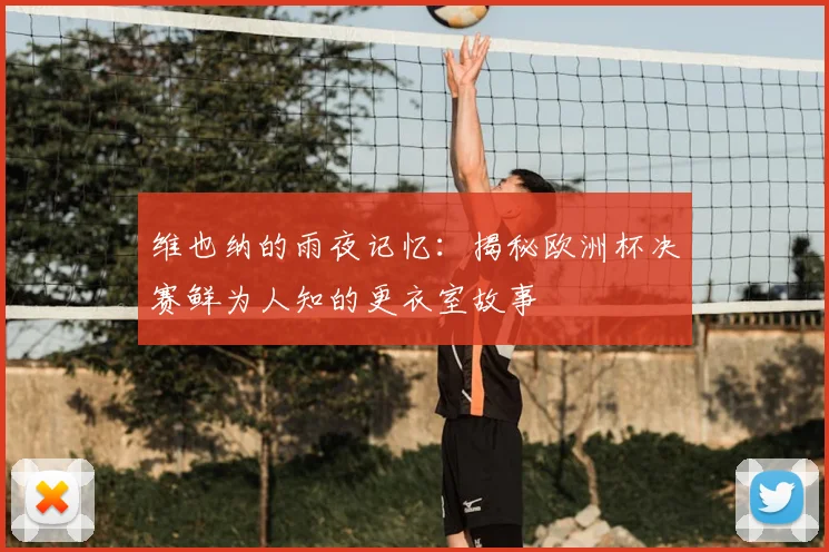 维也纳的雨夜记忆:揭秘欧洲杯决赛鲜为人知的更衣室故事