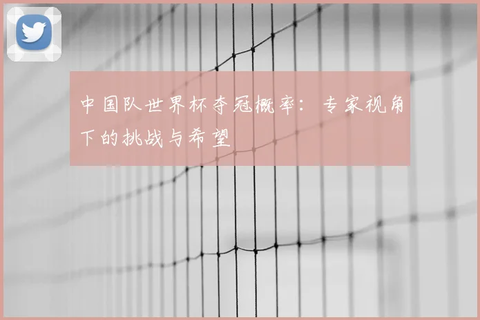 中国队世界杯夺冠概率：专家视角下的挑战与希望