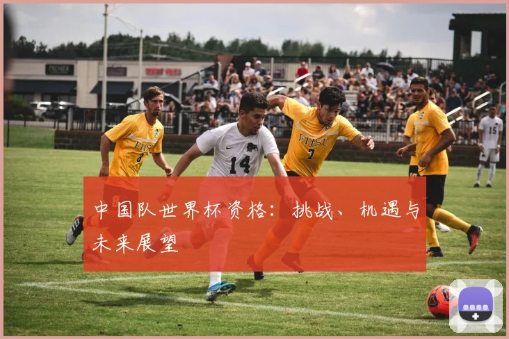 中国队世界杯资格：挑战、机遇与未来展望