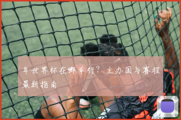 年世界杯在哪举行？主办国与赛程最新指南