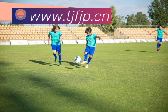 开云链接官网APP 封面图